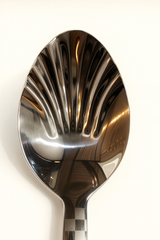 Goyalsons Household Steel Serving Spoon