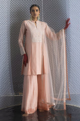 Sabhyata Ladies Western Kurti 3Pcs Set 249Rrd443 Peach