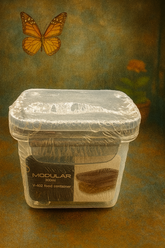 Goyalsons Household Container V 402