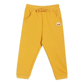 Baby Boys Elasticated Full Length Knitted Cotton Knit Bottom, Pack of 1, Mustard (2-3Y)