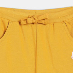 Baby Boys Elasticated Full Length Knitted Cotton Knit Bottom, Pack of 1, Mustard (2-3Y)