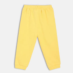 Baby Boys Elasticated Full Length Knitted Cotton Jogger, Pack of 1, Mustard (2-3Y)