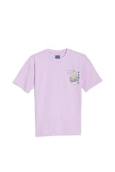 Allen Solly Boy's Regular Fit T-Shirt (ABKCCRGFP52289_Lilac