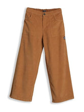 Allen Solly Boy's Regular Casual Pants (ABTFERGFL51767_Brown