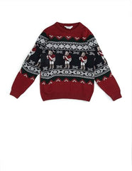 U.S. Polo Assn. Kids Boy's Acrylic Crew Neck Pullover Sweater (UKSWE0167_Dark Red
