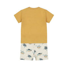 Boys Cotton 2 Pieces Set T-Shirts & Shorts