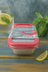 Goyalsons Household Steel Container 772