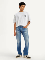 Levis Mens Jeans A6634-0048