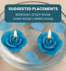 Iris Household Diffuser Infl8151Cb