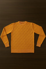 Goyalsons Boys Pullover O9202-05 Orange