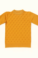 Goyalsons Boys Pullover O9202-05 Orange