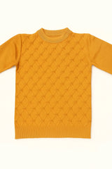Goyalsons Boys Pullover O9202-05 Orange