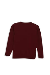 Allen Solly Boys Pullover 51601