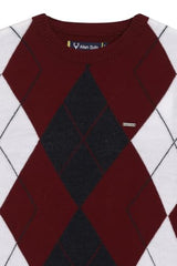 Allen Solly Boys Pullover 51601