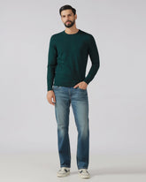Blackberry Mens Pullover En-Ss-Mario Beetle