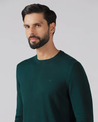 Blackberry Mens Pullover En-Ss-Mario Beetle