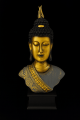 Lyte Club Household Figure Mvr 859