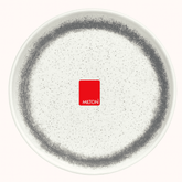 Milton Household Melamine Plate Porcelino Buffet Plate