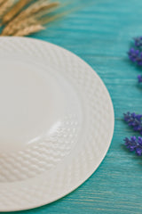 Goyalsons Household Glass Plate G1185