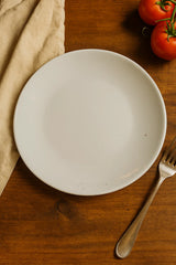 Goyalsons Household Glass Plate G1149