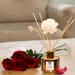 IRIS HOUSEHOLD DIFFUSER INRD0199GM