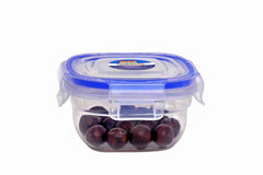 Goyalsons Household Container 5