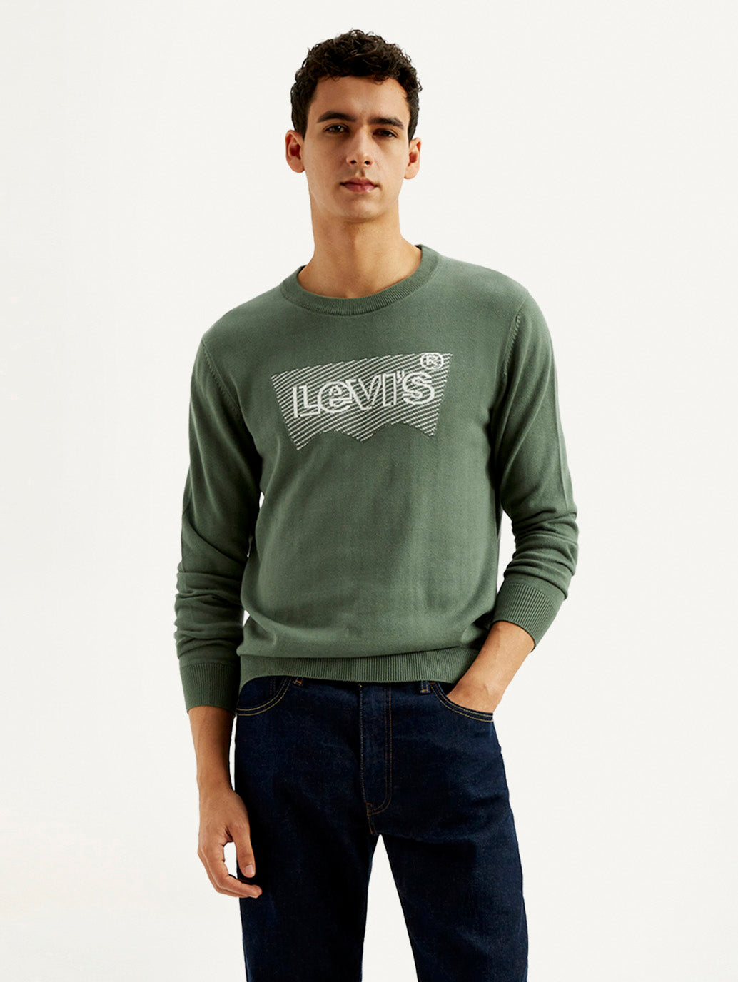 Levi's men's sage crew neck sweater with brand logo, cozy winter pullover, stylish for casual winter wear.