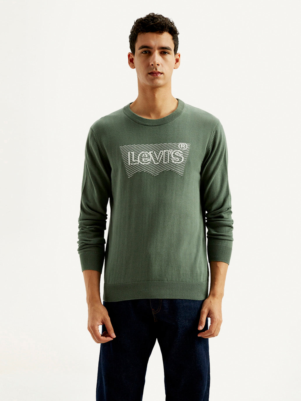 Men'S Brand Logo Sage Crew Neck Sweater