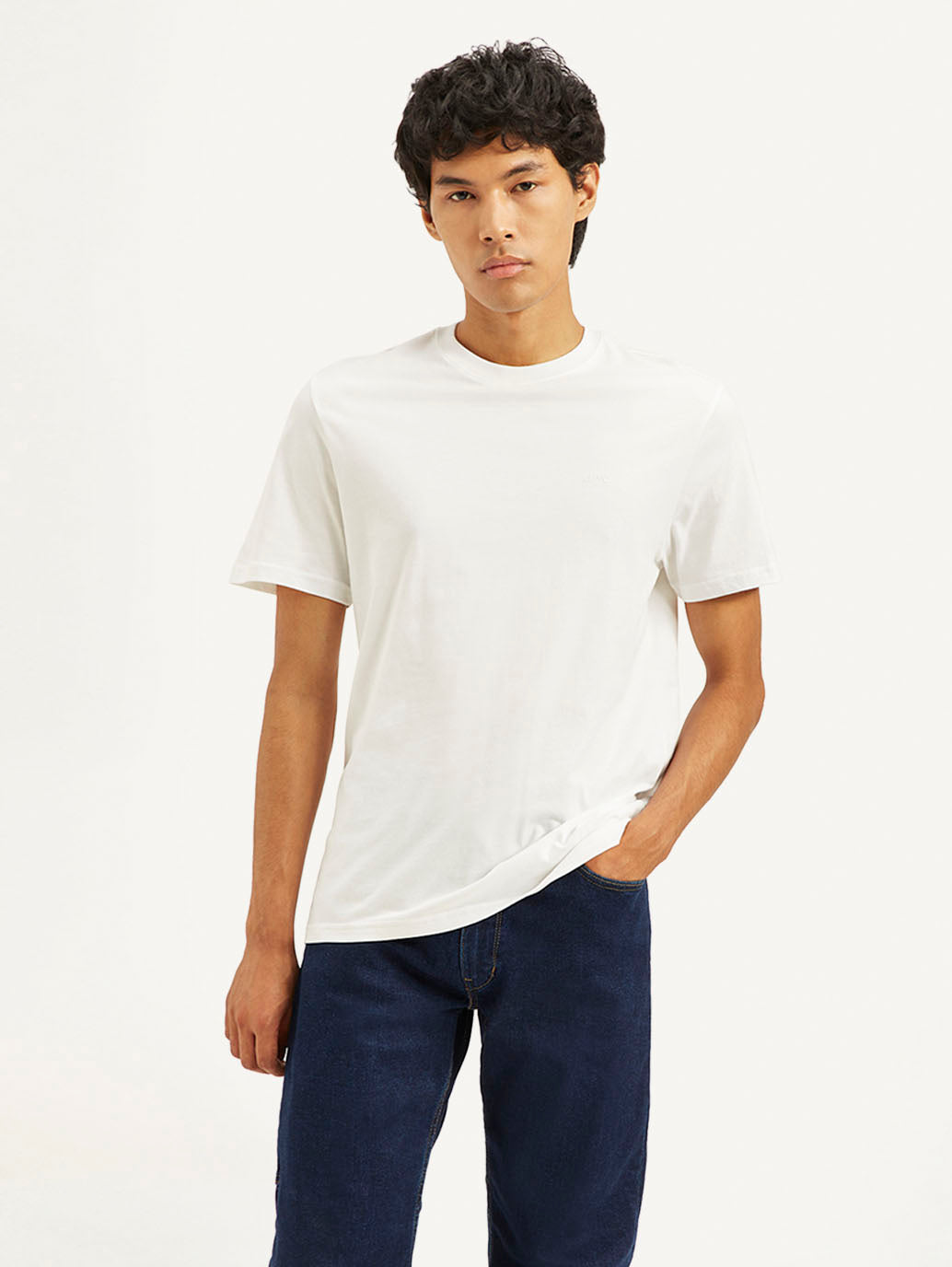 Levis Mens T-Shirt H/S 16960-1368