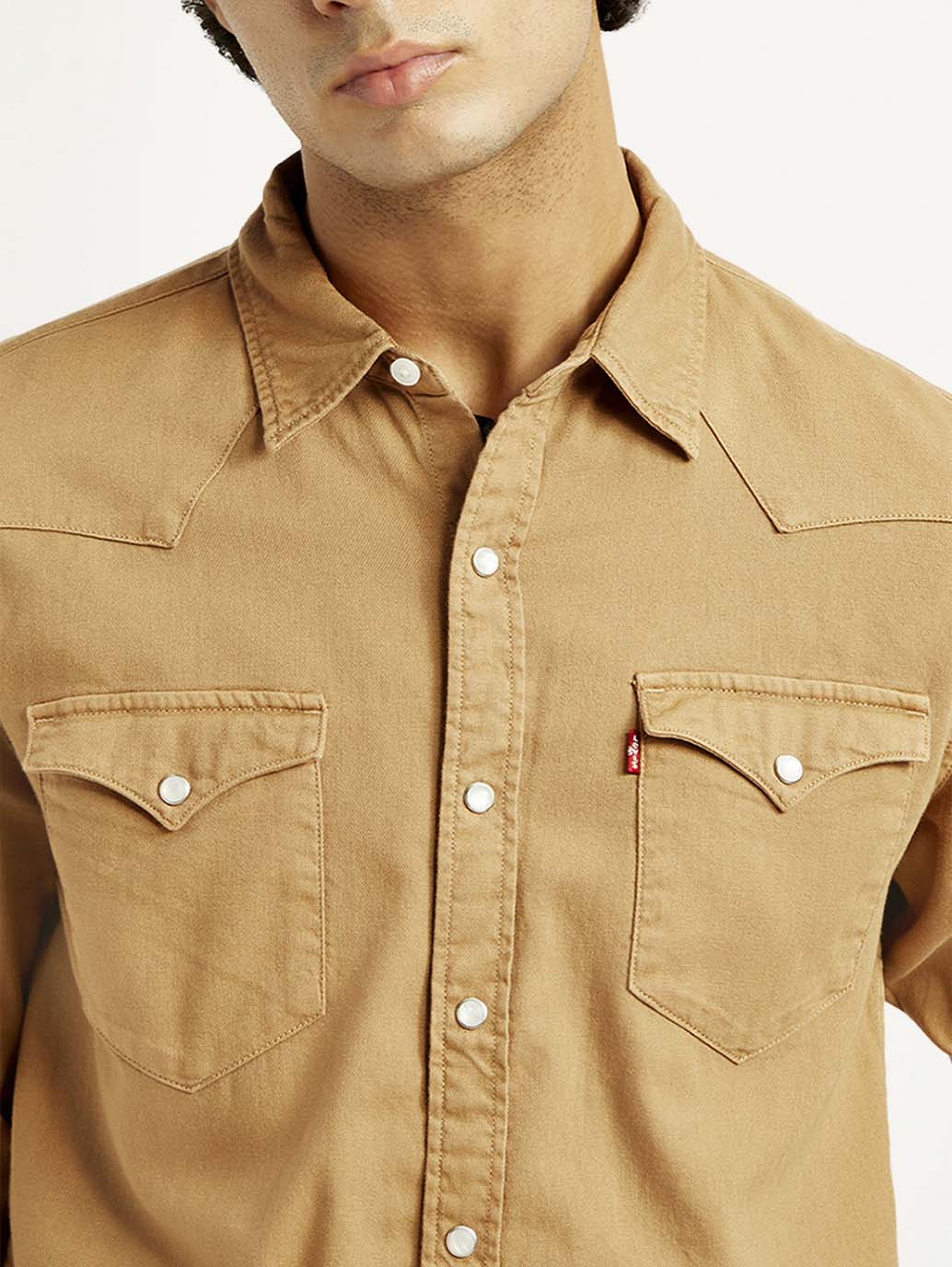 Levis Mens Casual Shirt F/S 17621-0302