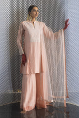 Sabhyata Ladies Western Kurti 3Pcs Set 249Rrd443 Peach