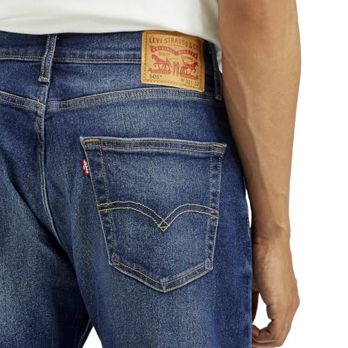Levi's Men's Regular Jeans (001H9-0134_Blue