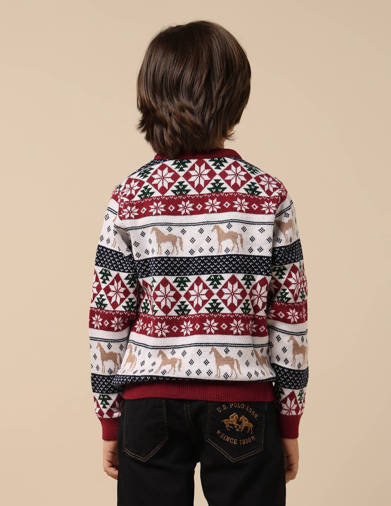 U.S.POLO KIDS BOYS PULLOVER UKSWE0165