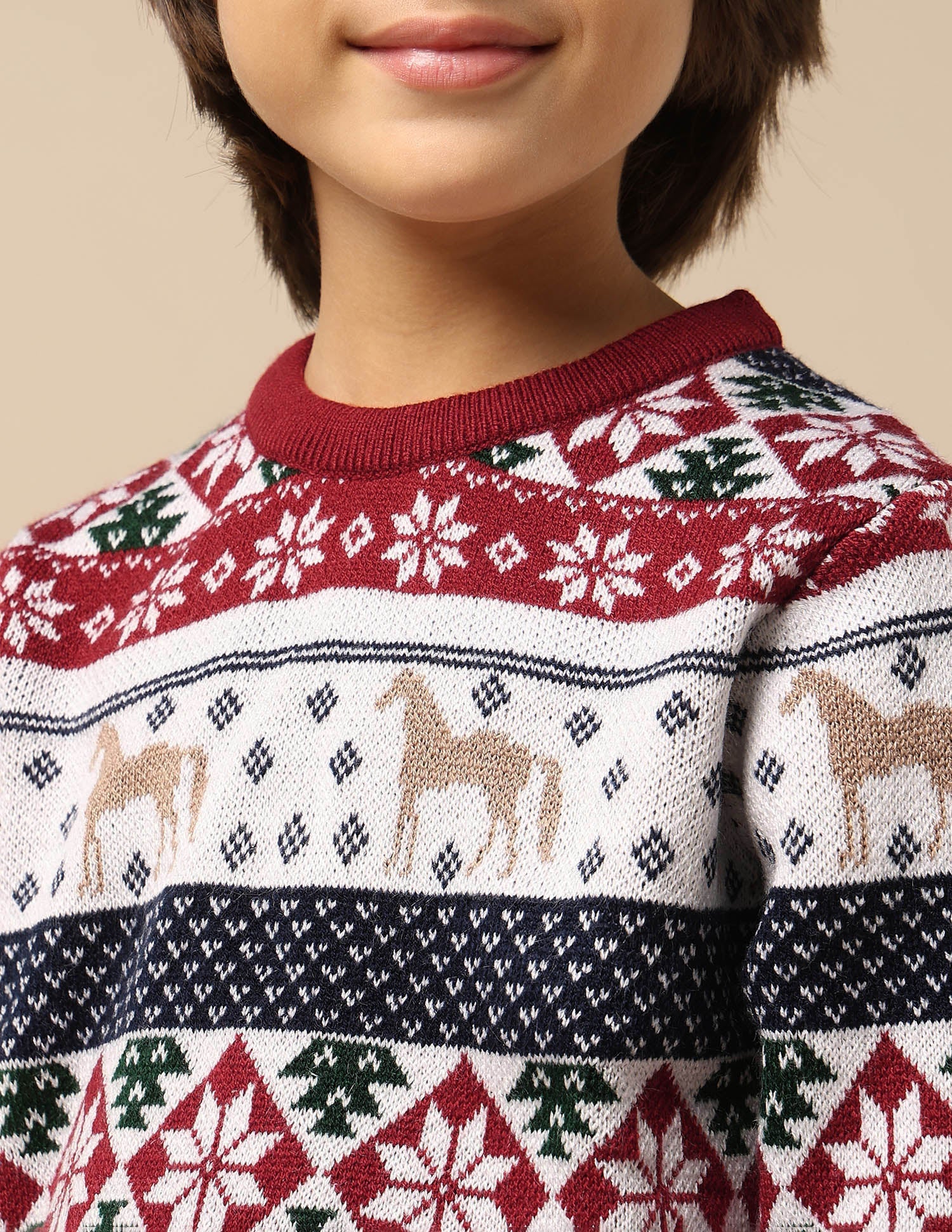 U.S.POLO KIDS BOYS PULLOVER UKSWE0165