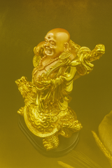 Goyalsons Household Figure L Budha 2402-72/74