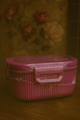 Goyalsons Household Steel Container 3781