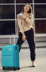 Skybags Polyester 4W Exp Strolley (Grey, Medium)