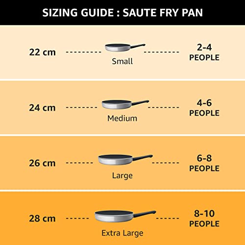 Prestige Non-Stick 12 Pits Paniyarakkal 24cm with Glass Lid | Appe Patra | Appe Maker | Omega Select Plus | PFOA Free | Metal Spoon Friendly | Sturdy Handle | 1Y Warranty | ISI Certified