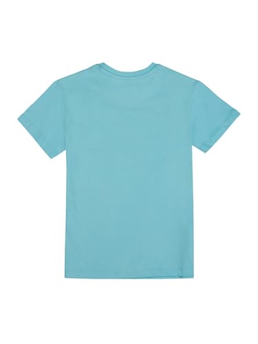 Gini and Jony Boys Blue Graphic Print Cotton Half Sleeves T-Shirt 15-16 Years