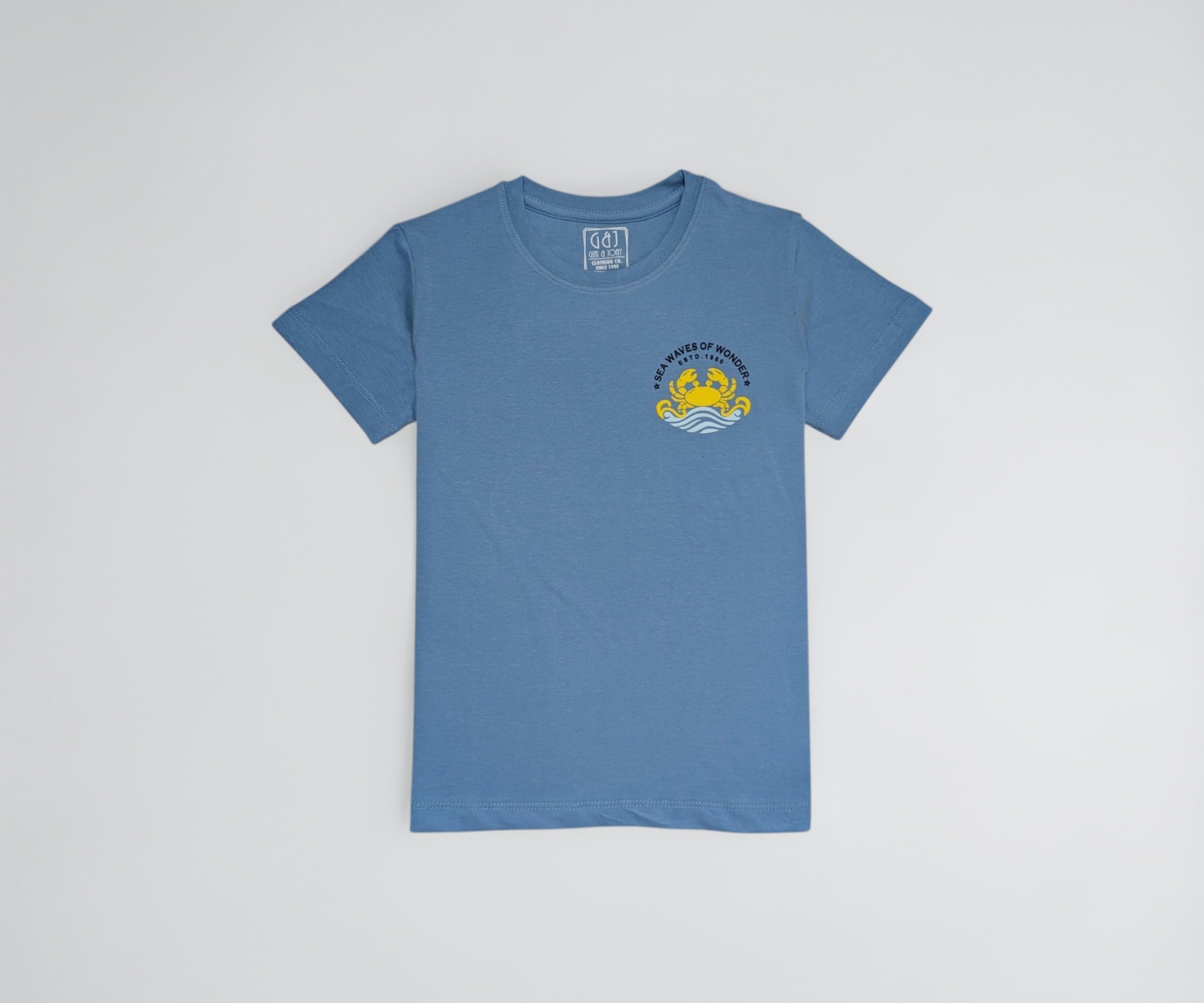 Gini and Jony Boys Blue Graphic Print Cotton Half Sleeves T-Shirt 4-5 Years