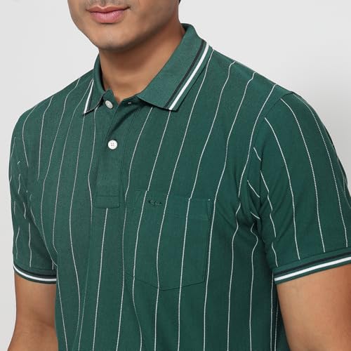 Colorplus Men Regular Fit Stripe Pattern Pure Cotton Half Sleeve Polo Neck Casual T-Shirt Medium Green