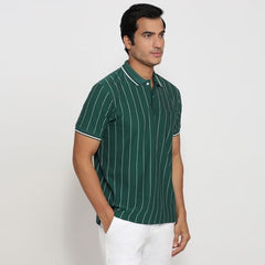 Colorplus Men Regular Fit Stripe Pattern Pure Cotton Half Sleeve Polo Neck Casual T-Shirt Medium Green