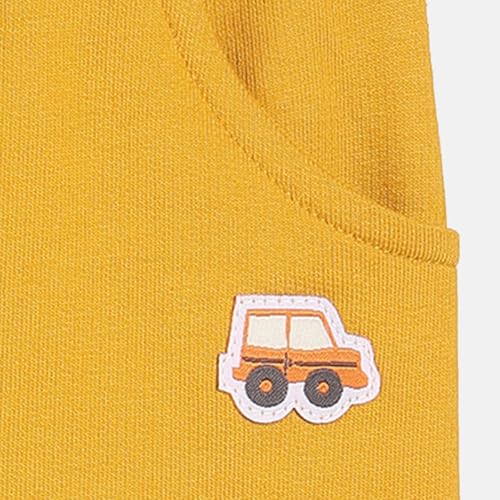 Baby Boys Elasticated Full Length Knitted Cotton Knit Bottom, Pack of 1, Mustard (2-3Y)