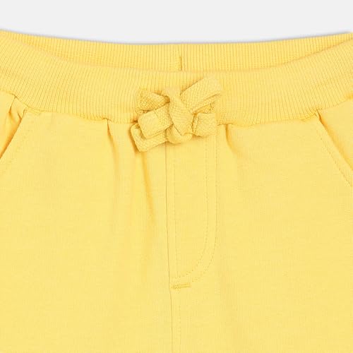 Baby Boys Elasticated Full Length Knitted Cotton Jogger, Pack of 1, Mustard (2-3Y)