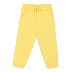 Baby Boys Elasticated Full Length Knitted Cotton Jogger, Pack of 1, Mustard (2-3Y)