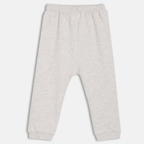 Baby Boys Elasticated Full Length Knitted Cotton Jogger, Pack of 1, Grey (2-3Y)