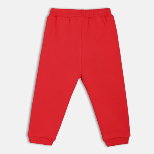 Baby Boys Elasticated Full Length Knitted Blended Cotton Jogger, Pack of 1, Red (2-3Y)