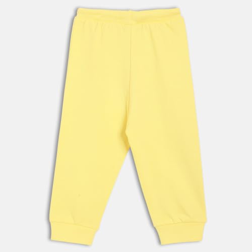 miniklub Baby Girls Elasticated Full Length Knitted Cotton Jogger, Pack of 1, Yellow (2-3Y)