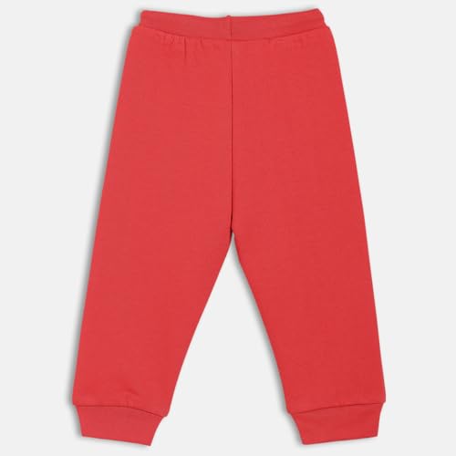 miniklub Baby Girls Elasticated Full Length Knitted Cotton Jogger, Pack of 1, Red (2-3Y)