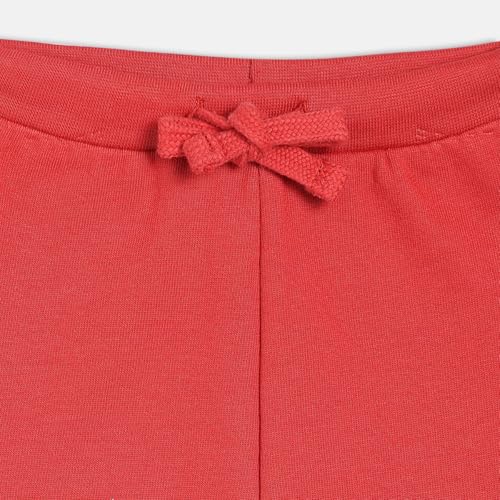miniklub Baby Girls Elasticated Full Length Knitted Cotton Jogger, Pack of 1, Red (2-3Y)